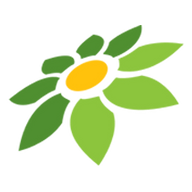 APK DANA MOD